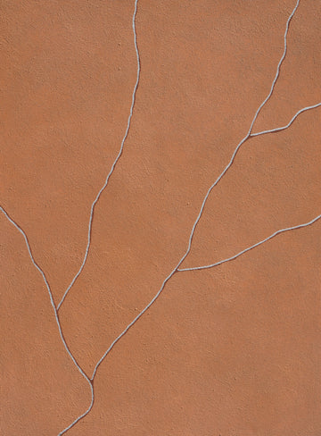 The Softening | Canvas Print